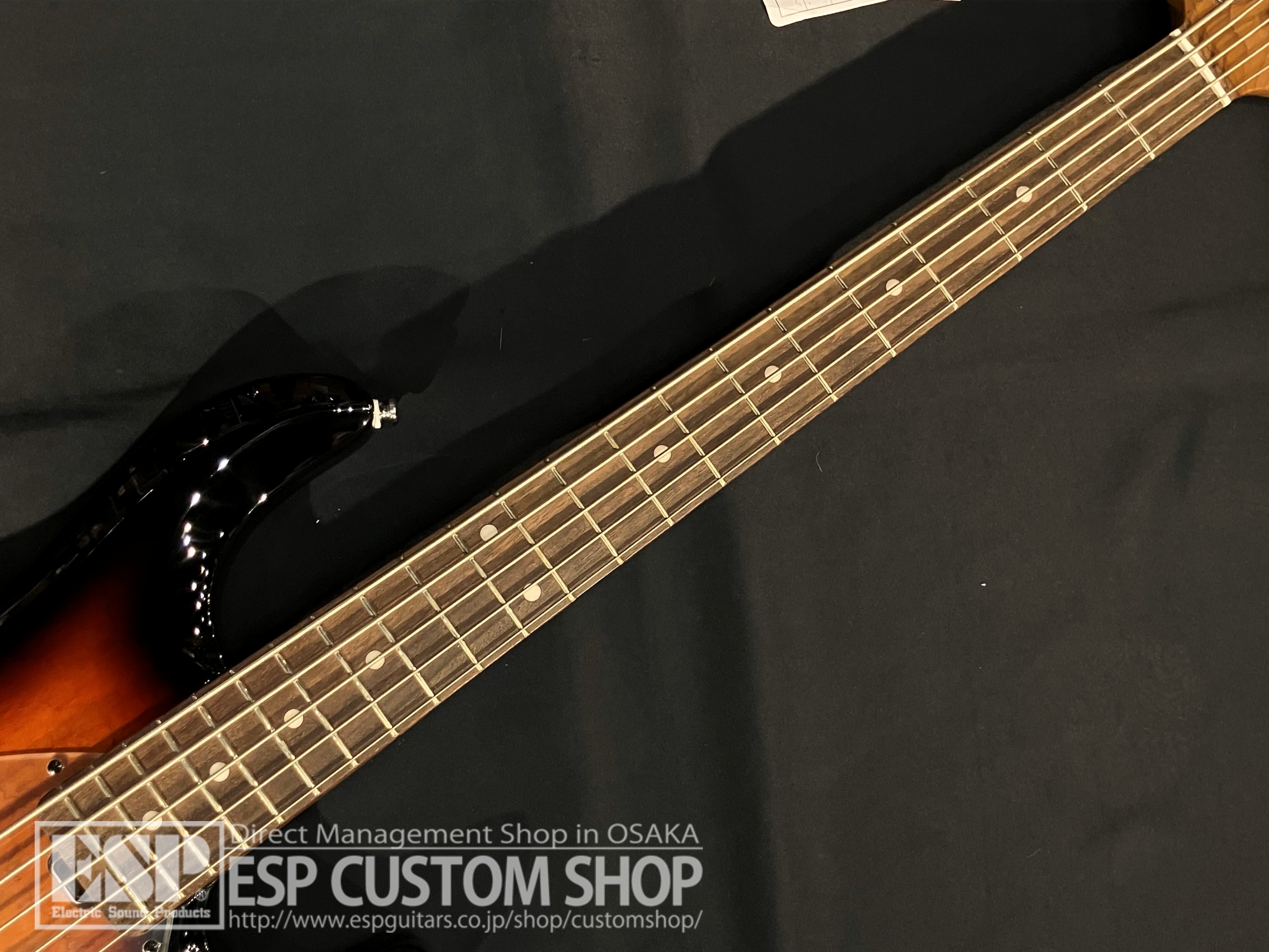 【即納可能/アウトレット】Sterling by MUSIC MAN RAY35SM / 3 Tone Sunburst 大阪店 【新春初売りお年玉セール対象商品】