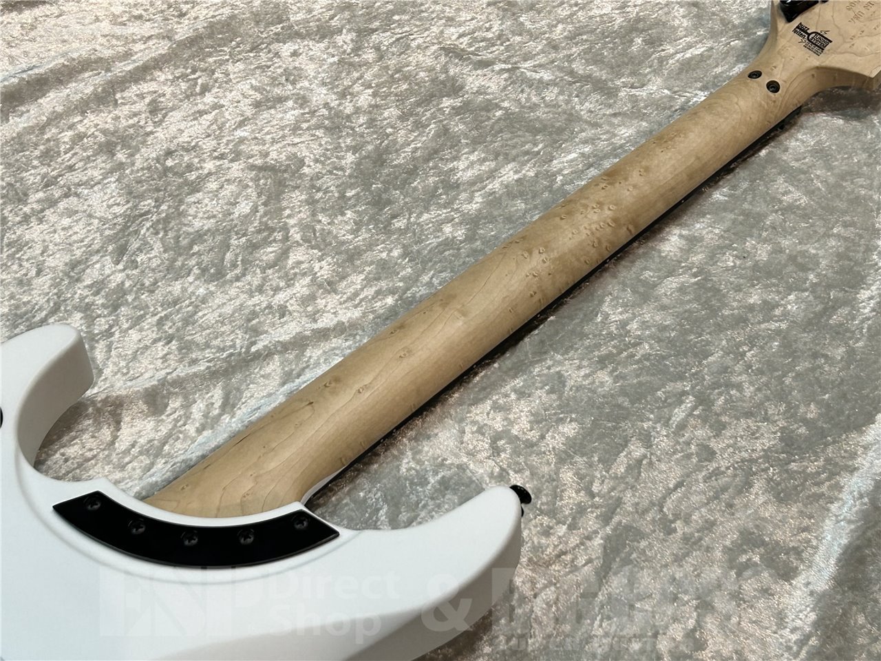 【即納可能】Washburn N4 GWH/広島店