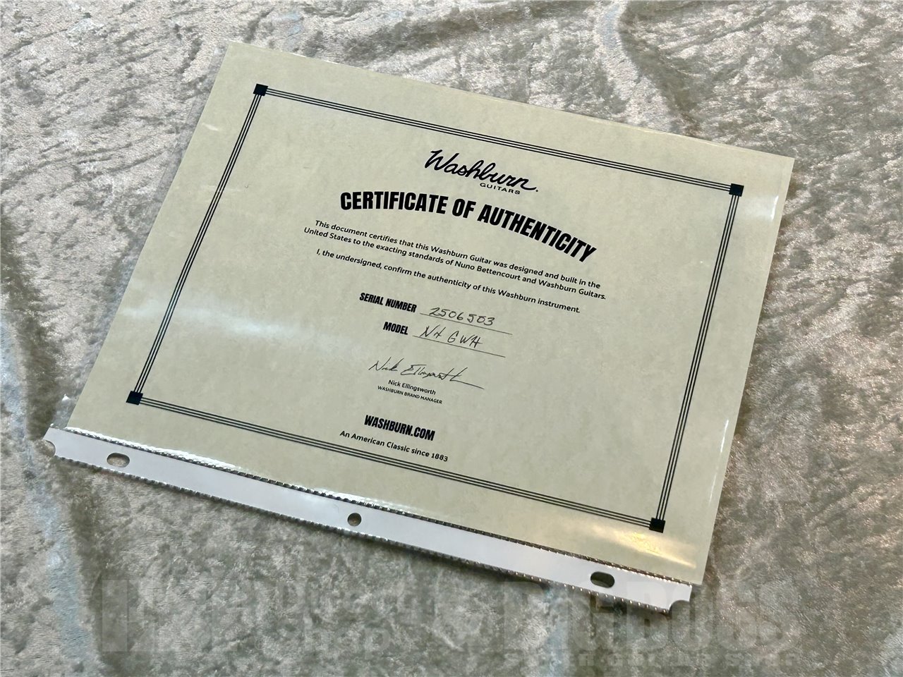 【即納可能】Washburn N4 GWH/広島店