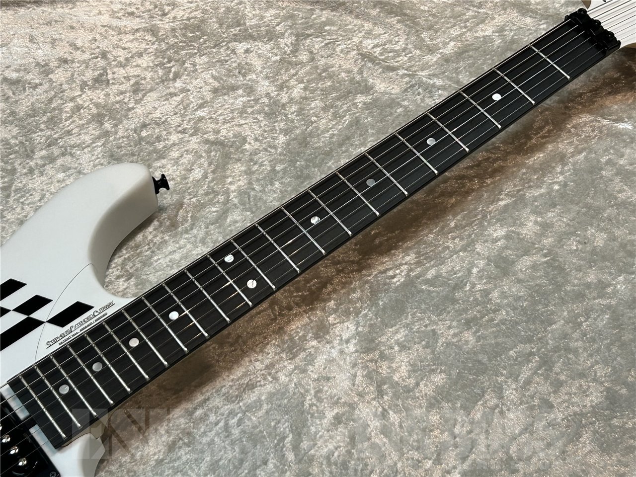【即納可能】Washburn N4 GWH/広島店