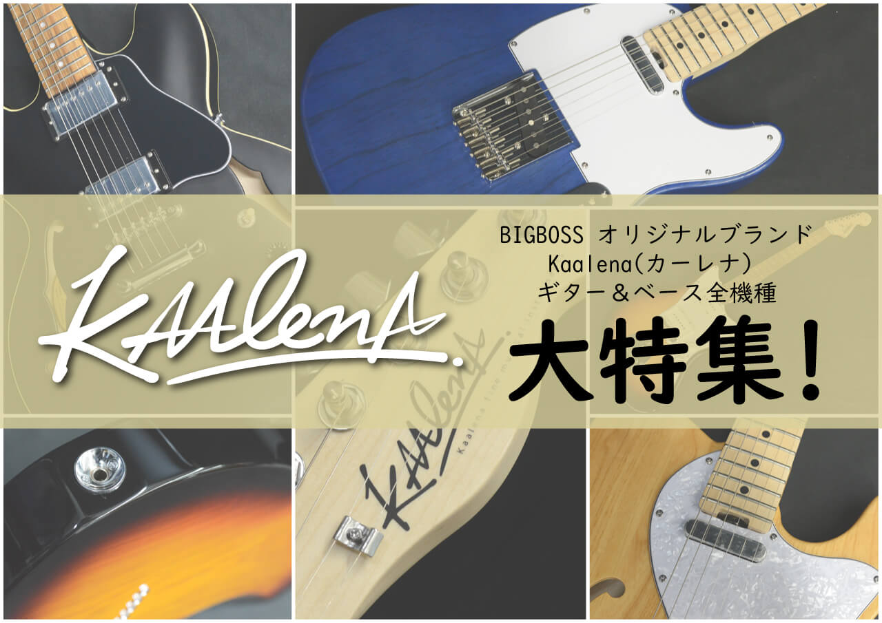 さあ、楽器を始めよう!! KAALENA大特集!! | BIGBOSS オンラインマーケット