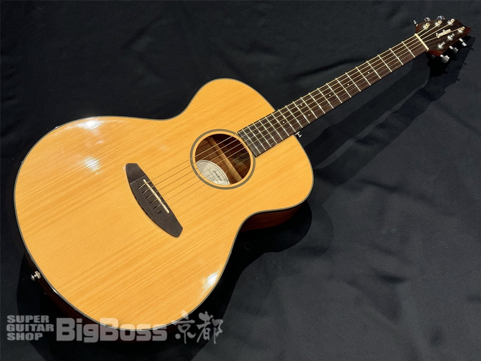 Breedlove<br>Discovery Concert