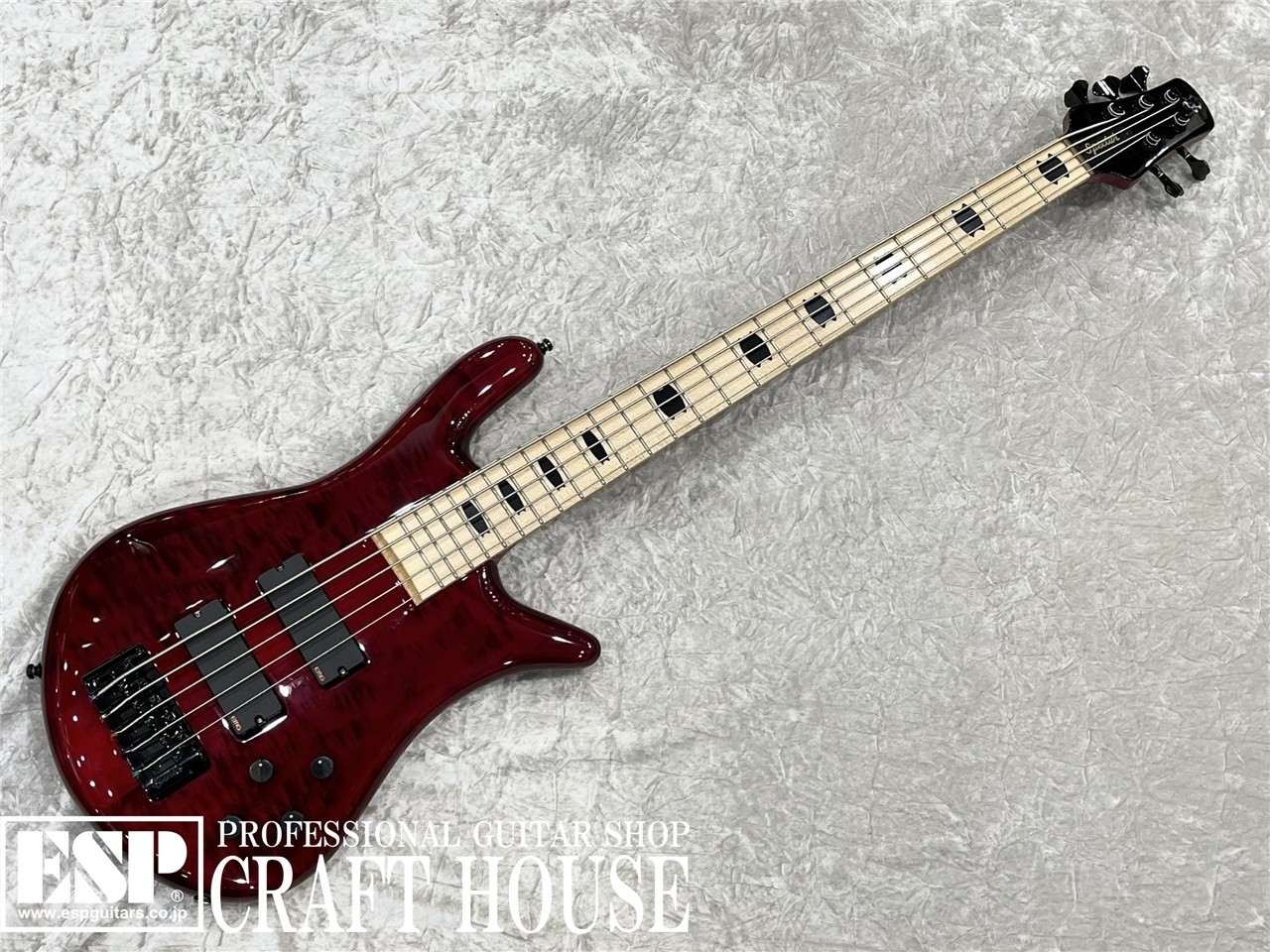 Spector<br>Euro 5 LX PW