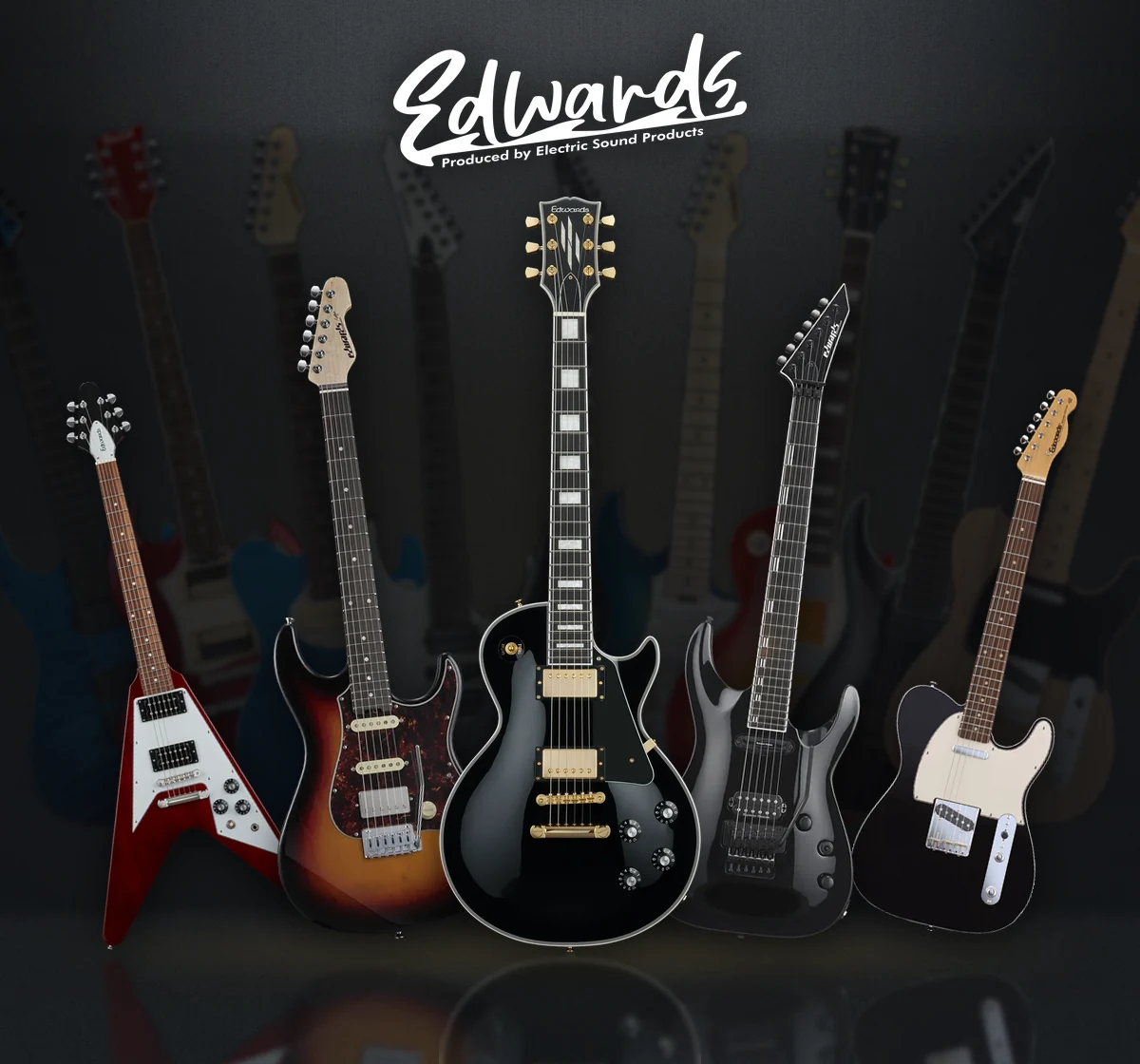 EDWARDS の主要シリーズ 6 本